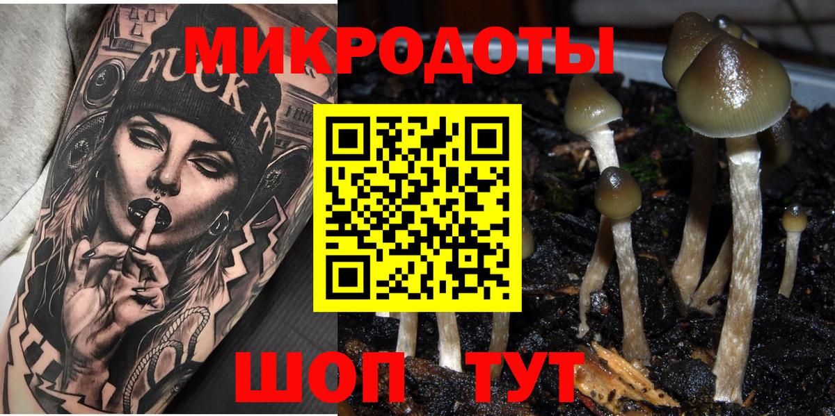 закладка  Вход с VPN  Гагарин  Псилоцибиновые грибы ЛСД 